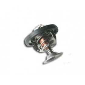 Thermostat, 300TDI