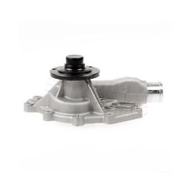 Water Pump, Serpentine Driven V8