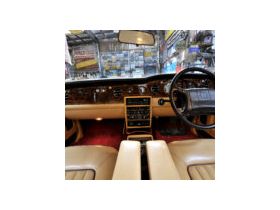 Pro Tank Strap / 20L